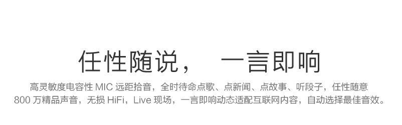 任性随说，一言即响